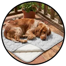 Dog Cooling Pad on a balcony