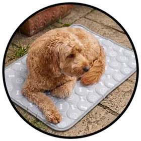 Dog Cooling Pad in a garden square