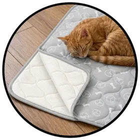 Dog Cooling Pad on a living room floor
