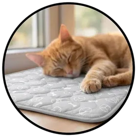 Dog Cooling Pad by a window area